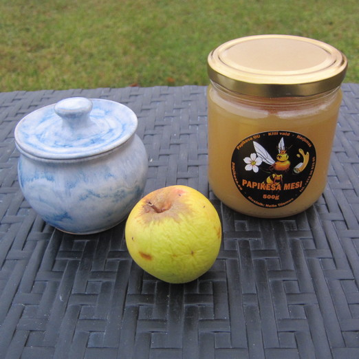 Mesi 500g ja tops lumi