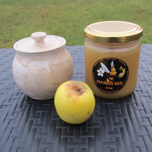 Mesi 500g ja tops hele 1